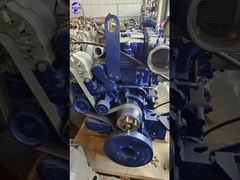 ワイチャイ WP7.340E53 ((1)